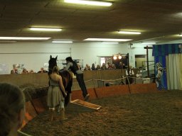 IMG_5215_web